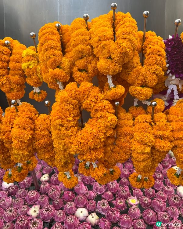 【🇹🇭曼谷|幸運女神之旅👸】