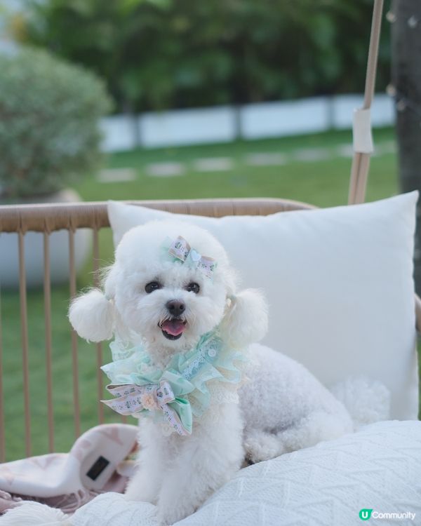 香港秘密繡球花園
