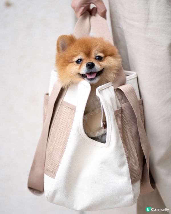 限時優惠｜LAMBWOLF高質小型犬專用便攜袋