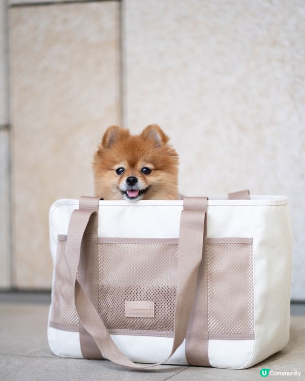 限時優惠｜LAMBWOLF高質小型犬專用便攜袋