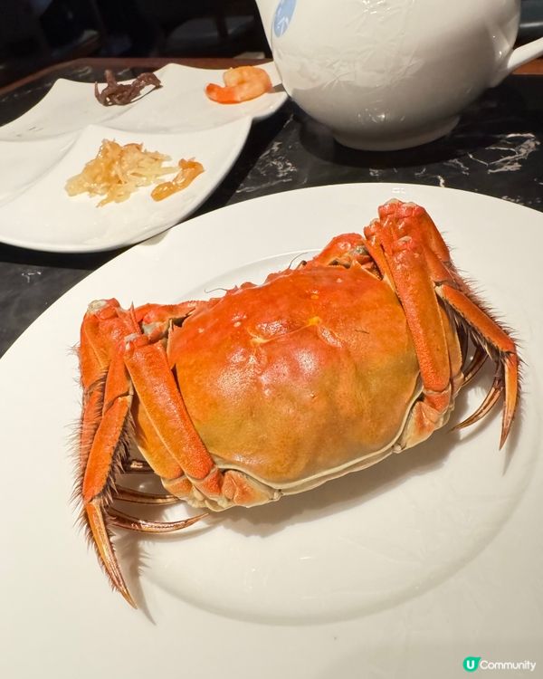 今期大閘蟹你食咗未？