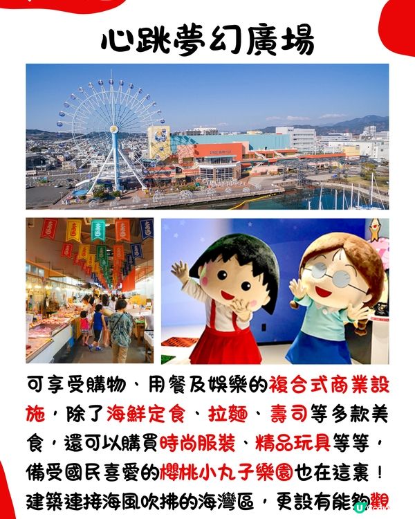 快運新航線✈️靜岡14大必去景點🇯🇵此生必去夢之吊橋🌉仲可以與海豚浮潛⁉️🐬