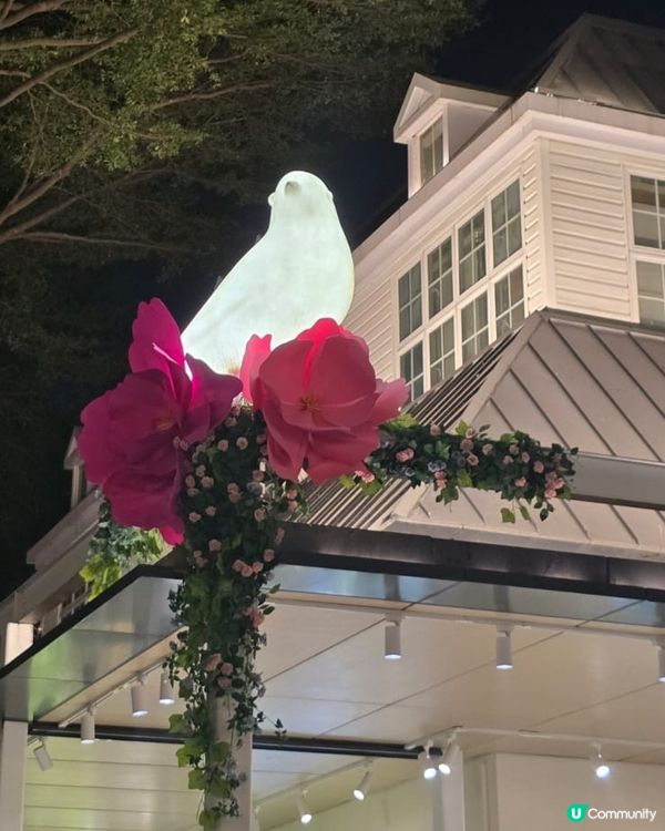 深圳荷蘭花卉小鎮