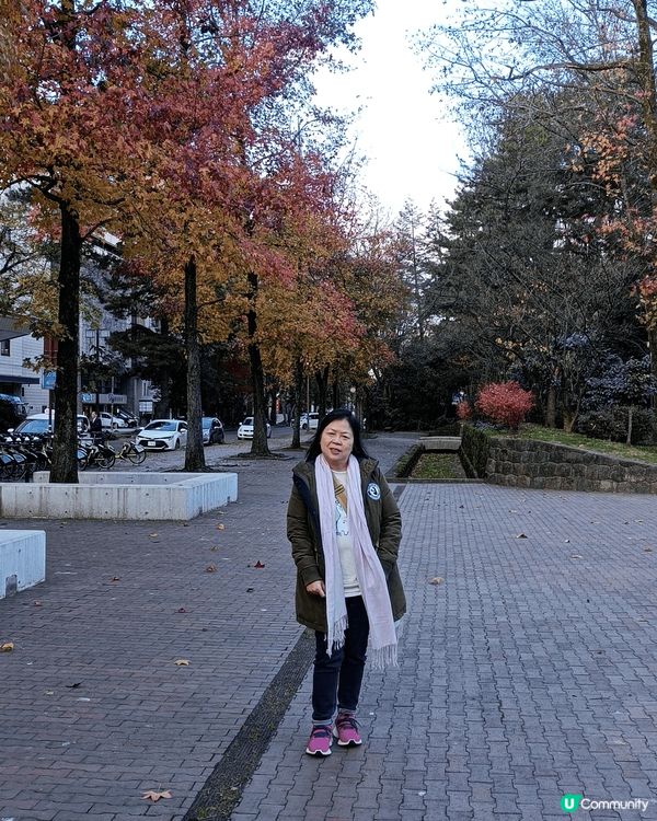 日本名古屋，環境優美，動靜皆宜