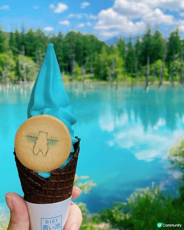 北海道的夏天，這些自然景觀提供了視覺上的享受，感受到大自然的...