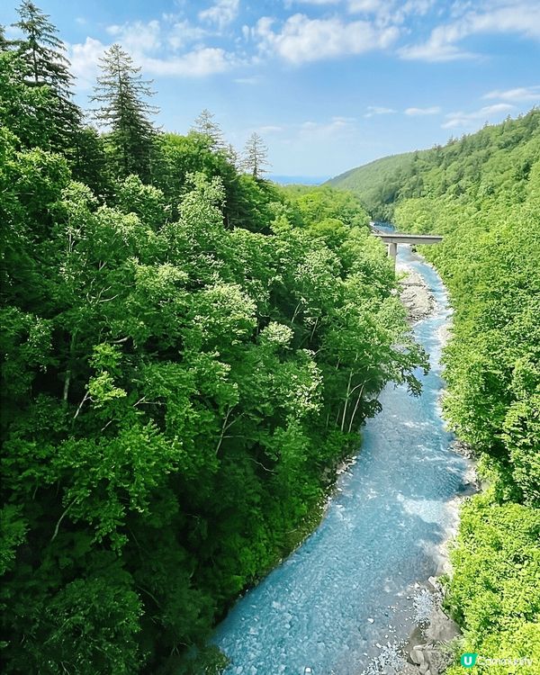 北海道的夏天，這些自然景觀提供了視覺上的享受，感受到大自然的...