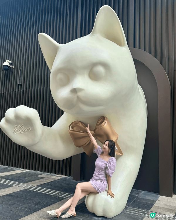 深圳 l 經常會轉換不同的打卡新主題,每次都有驚喜,今次貓咪...