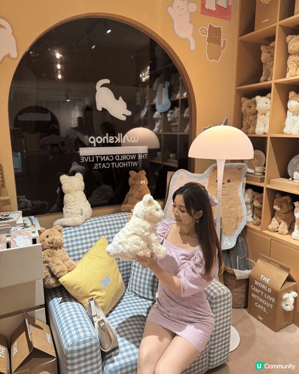 深圳 l 經常會轉換不同的打卡新主題,每次都有驚喜,今次貓咪...