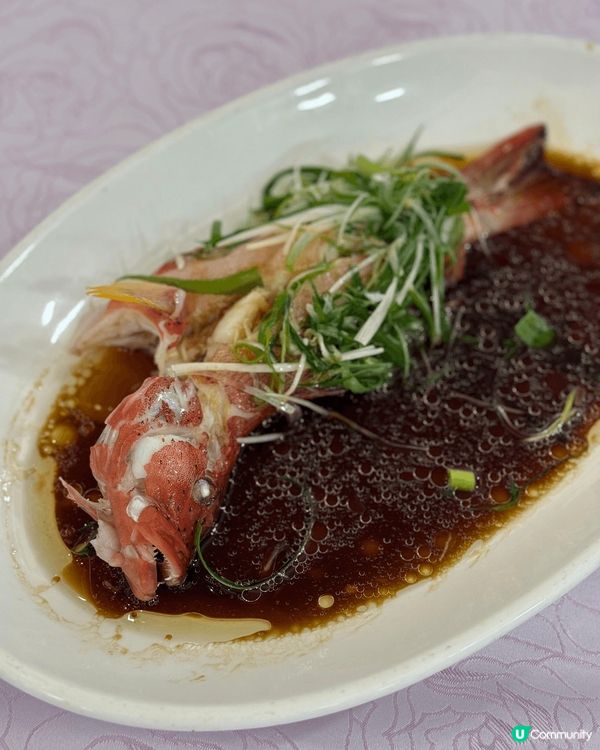 港晶軒 - CP值超高海鮮套餐