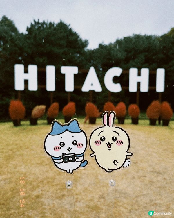 10月係我生日?季節 我選擇左去我最愛?城市 東京 同 ch...