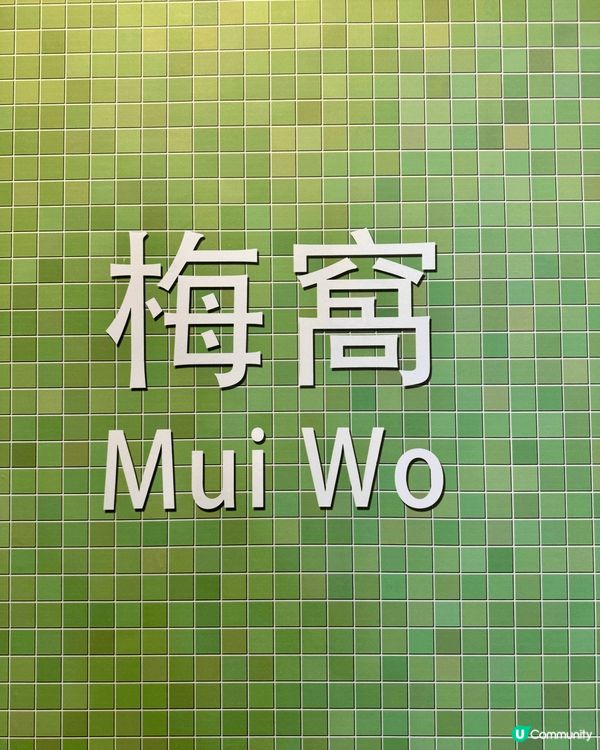 梅窩，水清沙幼，仲有蟹同螺既海灘真係好少有，而且好舒服，雖然...