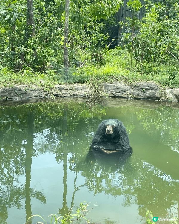 富國島之旅，景點?色，美食出色，連當地人均非常友善，真是一次...