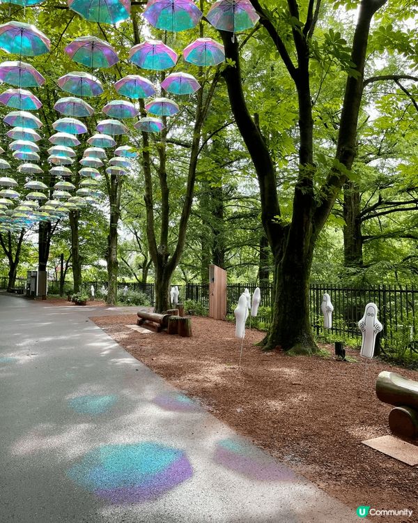 以上是台灣、香港和日本的不同親子遊的景點，小朋友很喜歡，影相...