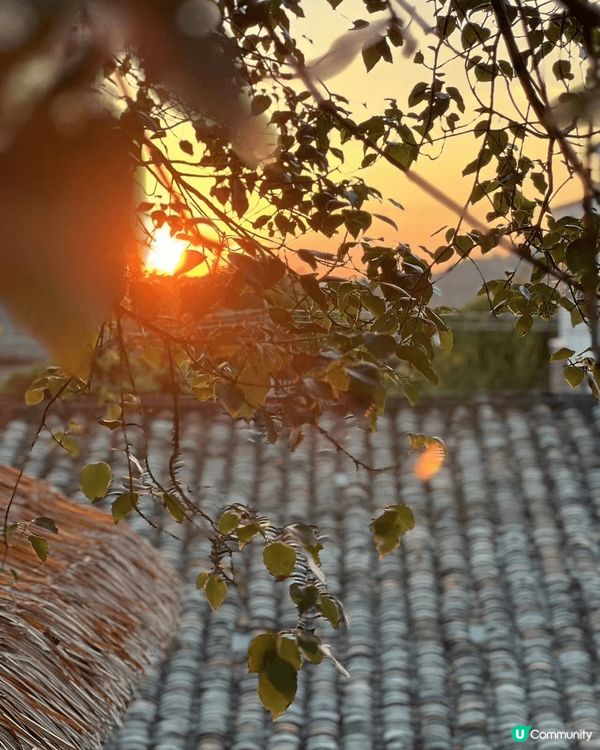 每次日本旅行，都是一種奇妙的旅程。