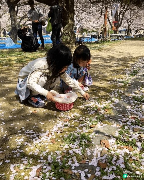 櫻花樹下的九州，任何角度影也是美！