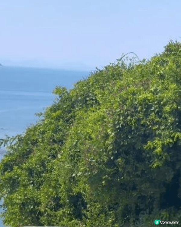 深圳市大鵬半島雲海天使灣