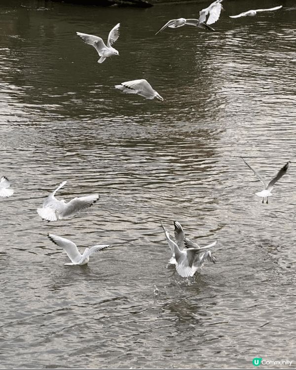 在德國沿路惷外發現的風景