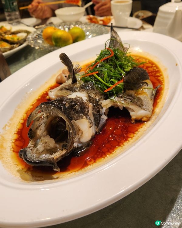 ✨️即撈即煮海鮮飯店•79號漁船 ✨️