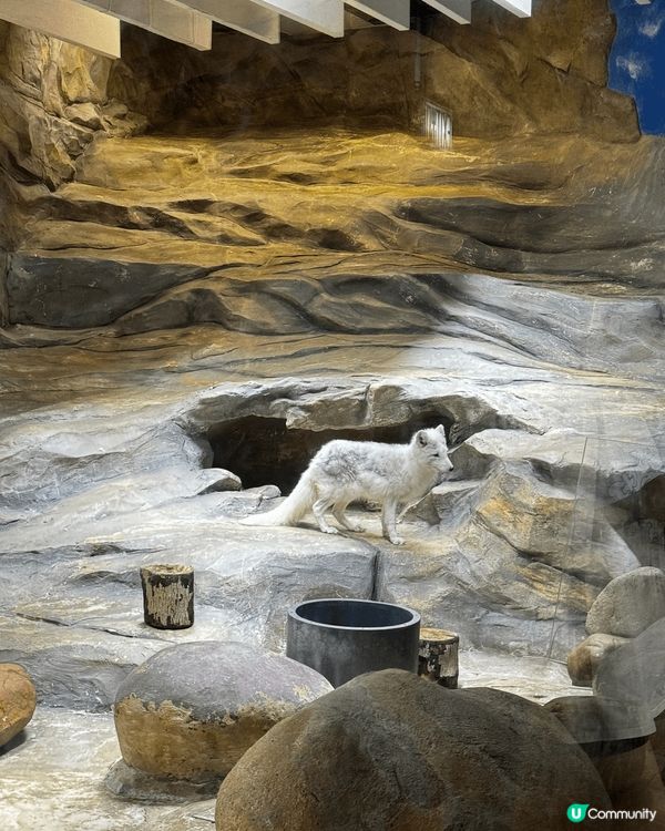 雖然出國旅行係好開心！但係大家都唔好忘記我地咁靚既香港呀??...