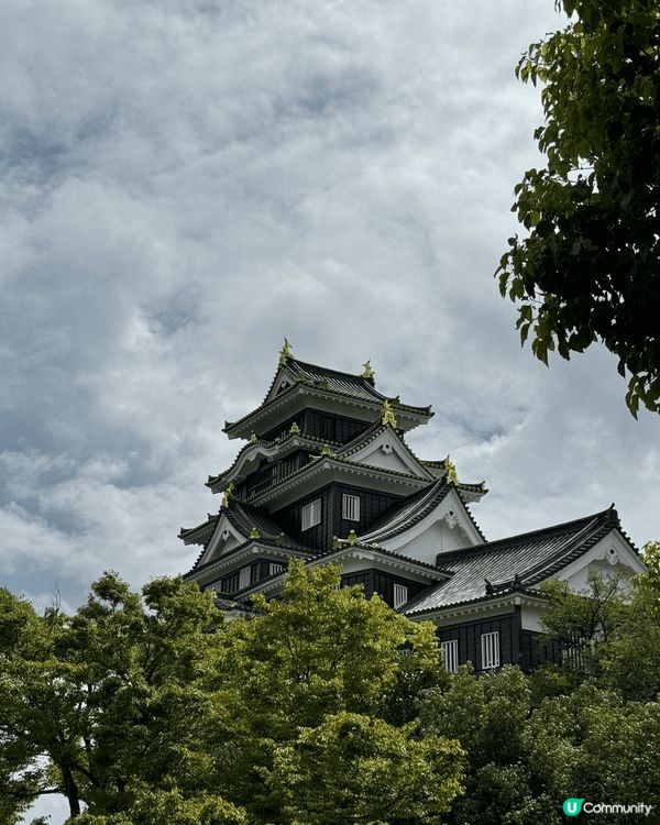 岡山城附近的後樂園是日本三大庭園之一，陽光下到訪份外優美，適...