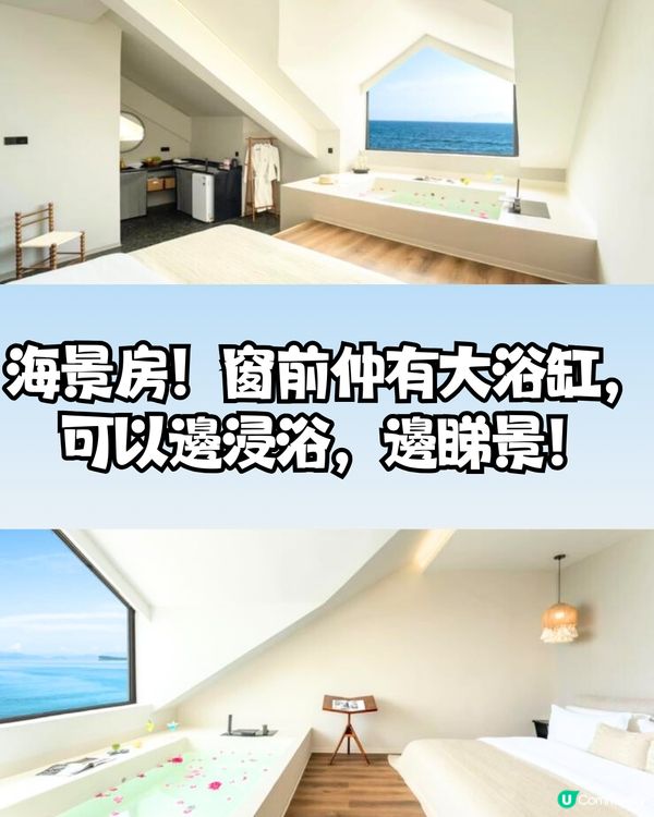 深圳天使灣遊玩攻略🌊釜山同款膠囊列車/粉黛草花海🩷