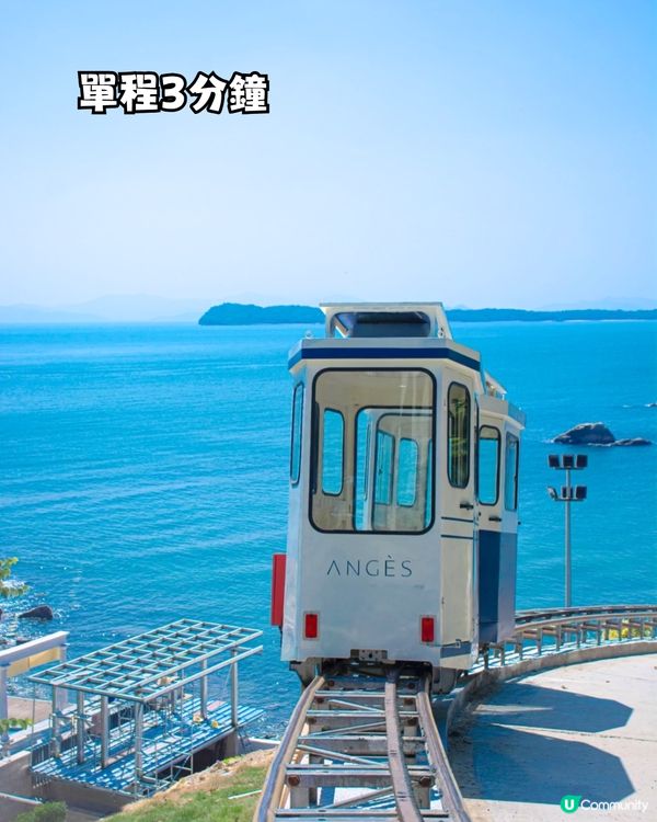 深圳天使灣遊玩攻略🌊釜山同款膠囊列車/粉黛草花海🩷