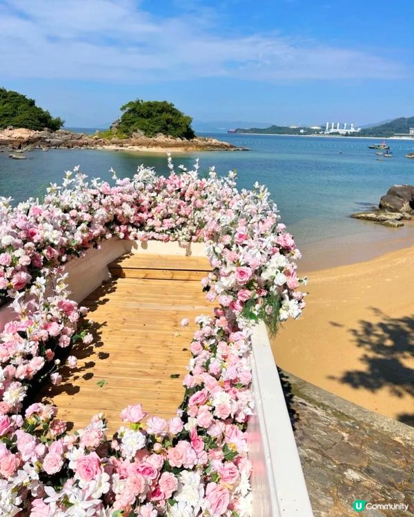 深圳天使灣遊玩攻略🌊釜山同款膠囊列車/粉黛草花海🩷