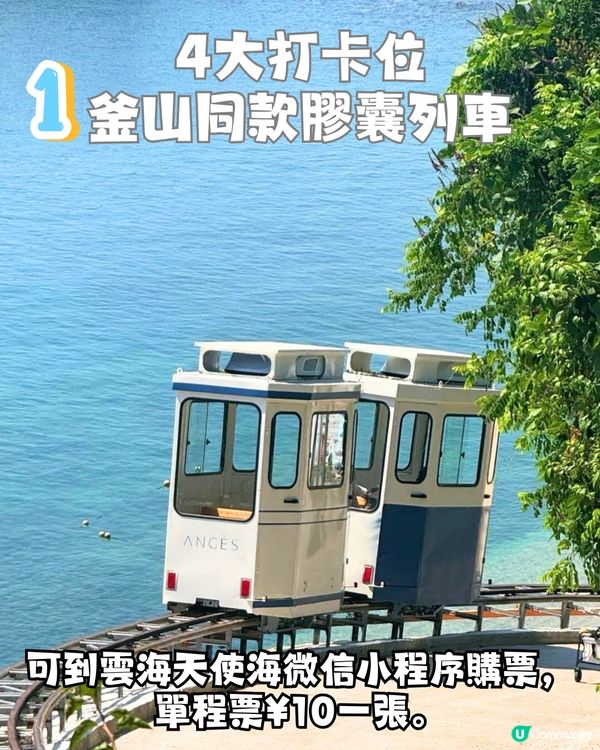 深圳天使灣遊玩攻略🌊釜山同款膠囊列車/粉黛草花海🩷