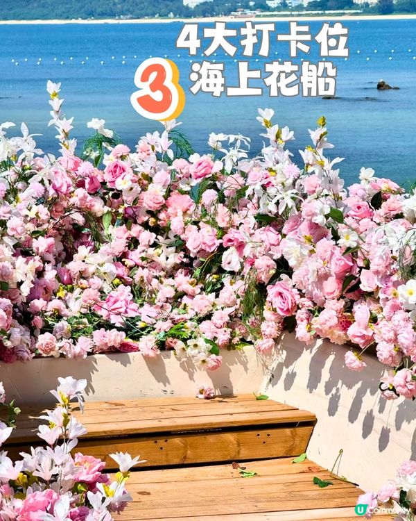 深圳天使灣遊玩攻略🌊釜山同款膠囊列車/粉黛草花海🩷