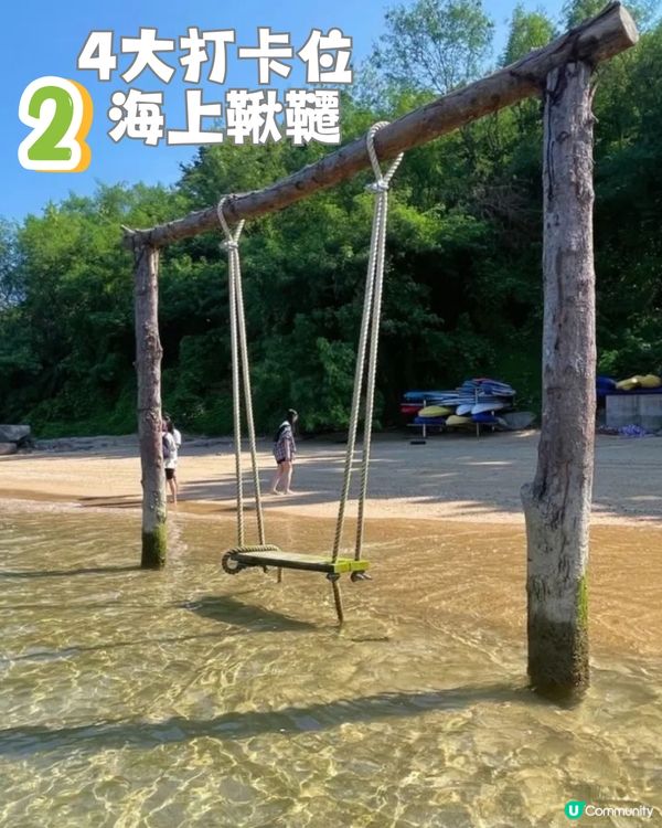 深圳天使灣遊玩攻略🌊釜山同款膠囊列車/粉黛草花海🩷