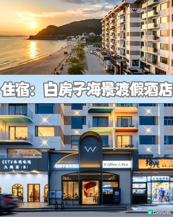 深圳天使灣遊玩攻略🌊釜山同款膠囊列車/粉黛草花海🩷