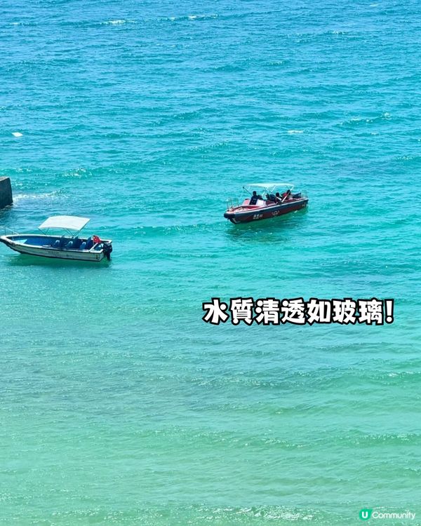 深圳天使灣遊玩攻略🌊釜山同款膠囊列車/粉黛草花海🩷