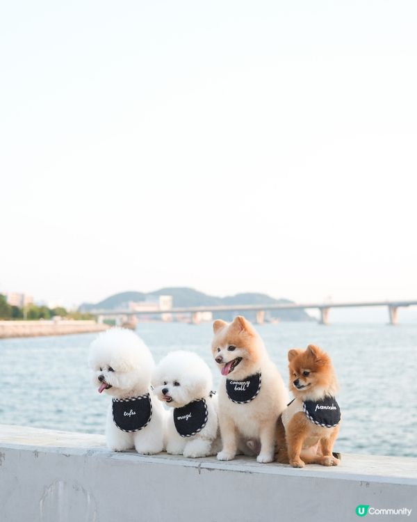 好耐冇見契契 要影109,700張合照