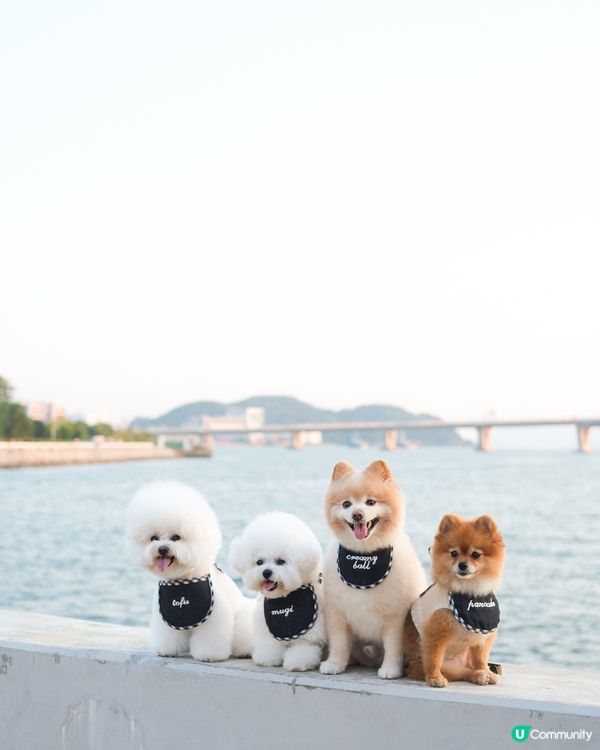 好耐冇見契契 要影109,700張合照