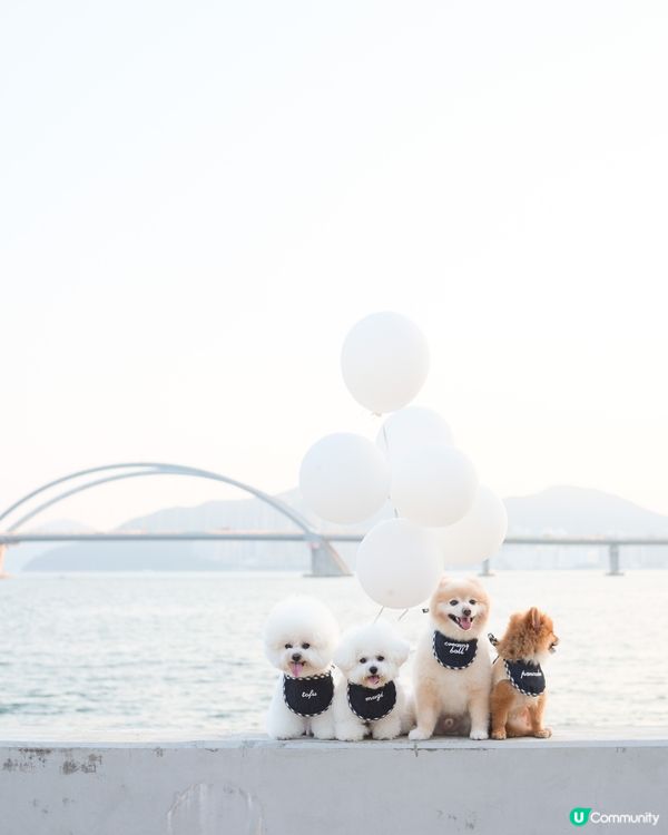 好耐冇見契契 要影109,700張合照