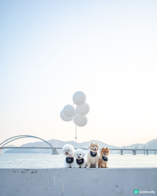 好耐冇見契契 要影109,700張合照