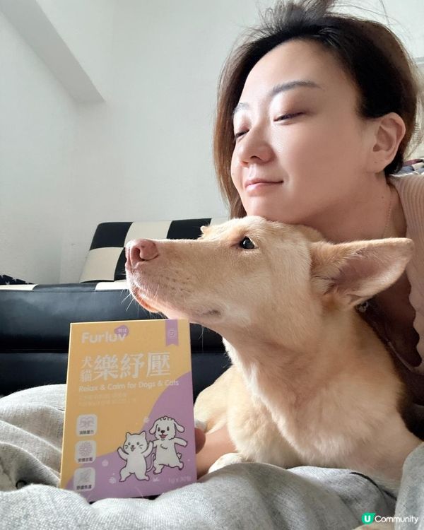 穩定狗狗情緒的保健品