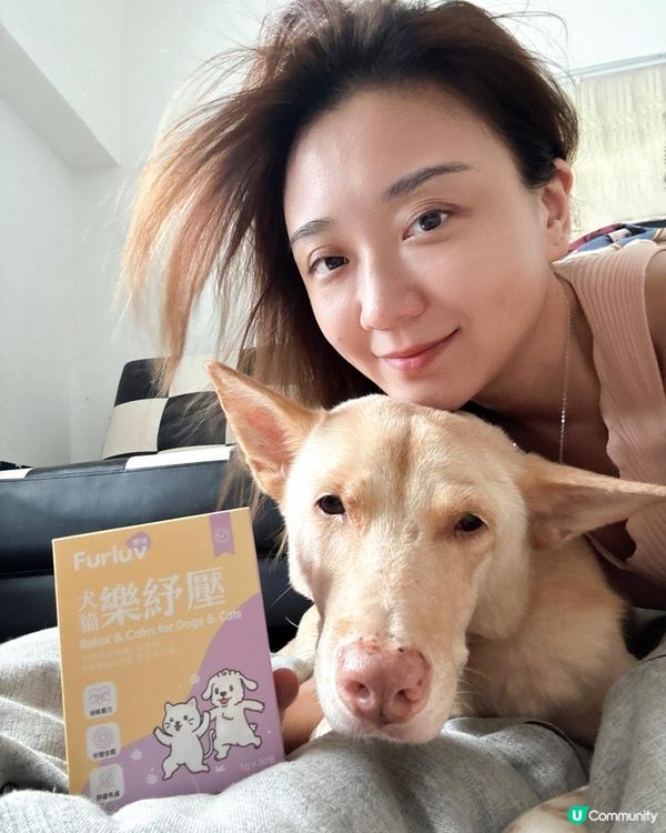 穩定狗狗情緒的保健品