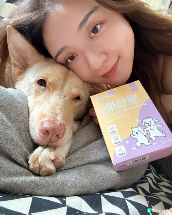 穩定狗狗情緒的保健品