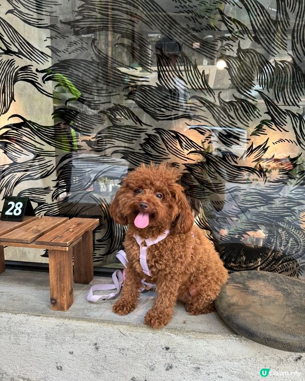 Haru2️⃣歲生日快樂🎂