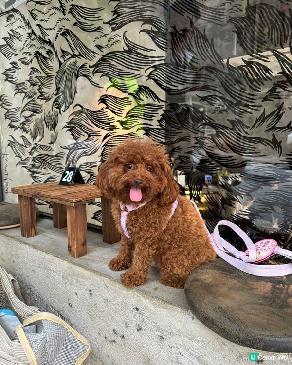 Haru2️⃣歲生日快樂🎂