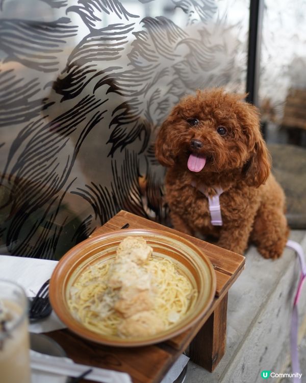 Haru2️⃣歲生日快樂🎂