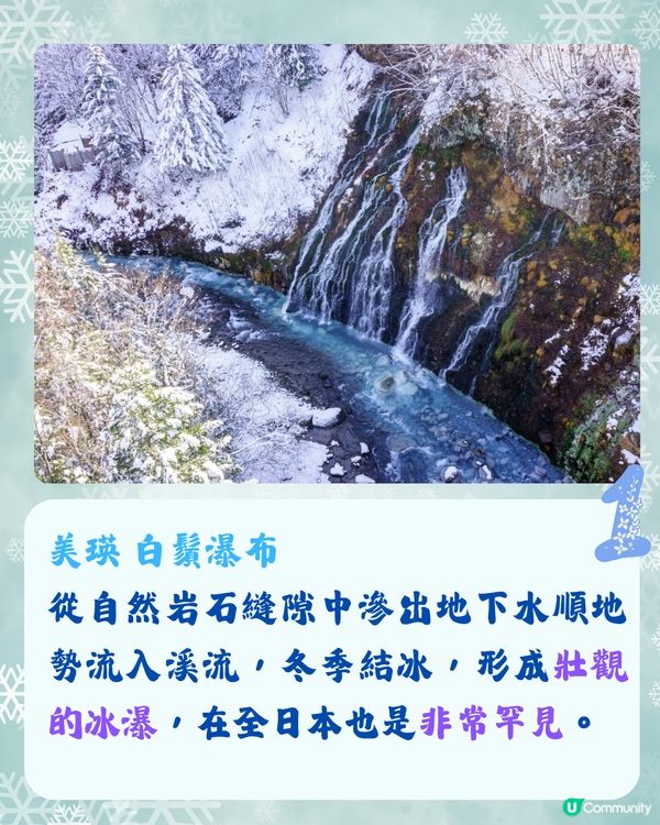 北海道冬季必訪9大絕美景點☃️浪漫點燈/雪祭/動物園❄️附交通🇯🇵