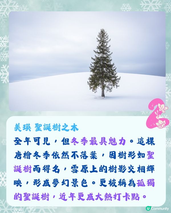 北海道冬季必訪9大絕美景點☃️浪漫點燈/雪祭/動物園❄️附交通🇯🇵