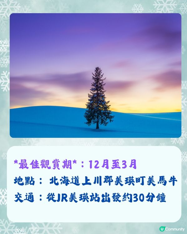 北海道冬季必訪9大絕美景點☃️浪漫點燈/雪祭/動物園❄️附交通🇯🇵