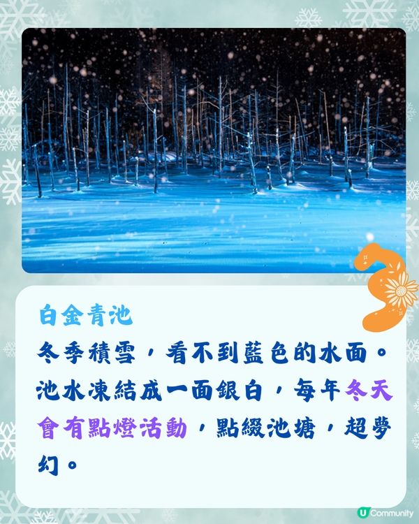 北海道冬季必訪9大絕美景點☃️浪漫點燈/雪祭/動物園❄️附交通🇯🇵