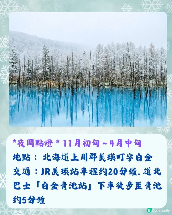 北海道冬季必訪9大絕美景點☃️浪漫點燈/雪祭/動物園❄️附交通🇯🇵