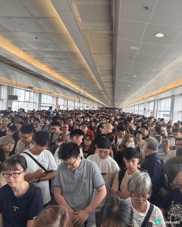 假日落馬洲口岸過關情況人山人海群情兇湧現人龍
