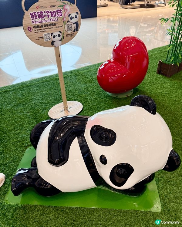 又係辣媽好介紹🤗