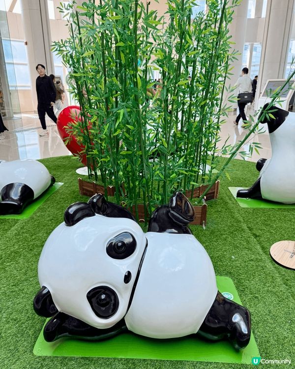 又係辣媽好介紹🤗